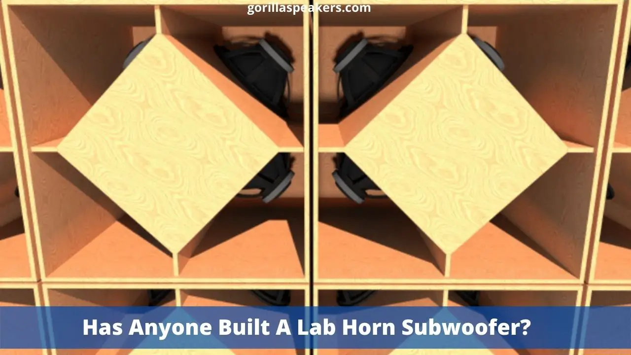 Has Anyone Built A Lab Horn Subwoofer