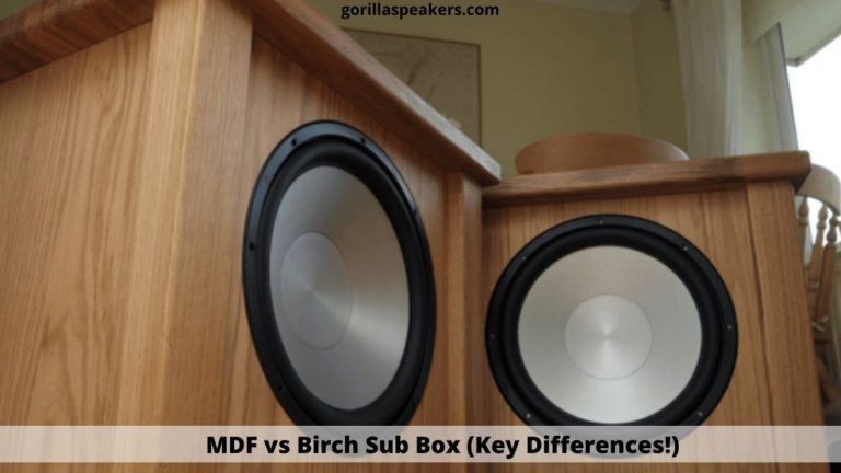 MDF vs Birch Sub Box