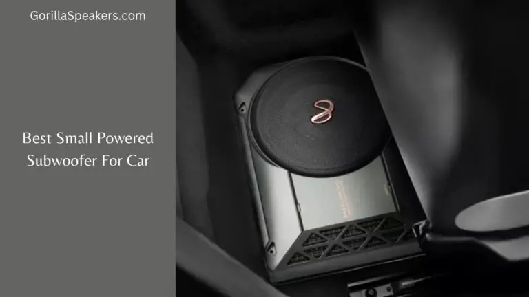 Best Small Powered Subwoofer For Car